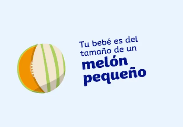 34 semanas de embarazo