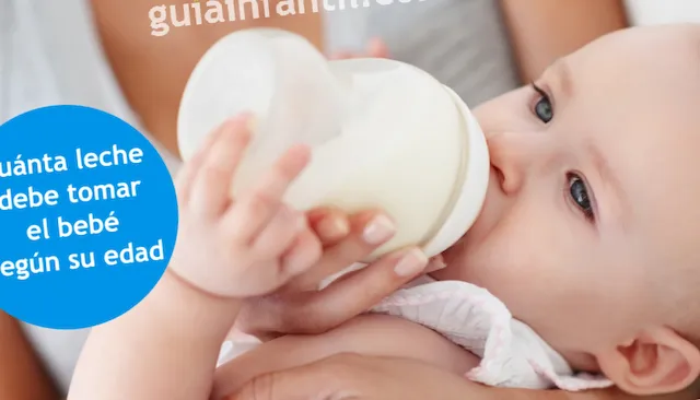 cantidad leche bebe