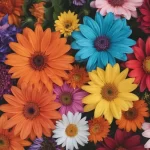 **Fertilidad y salud: Consejos, ánimos y buenas noticias**