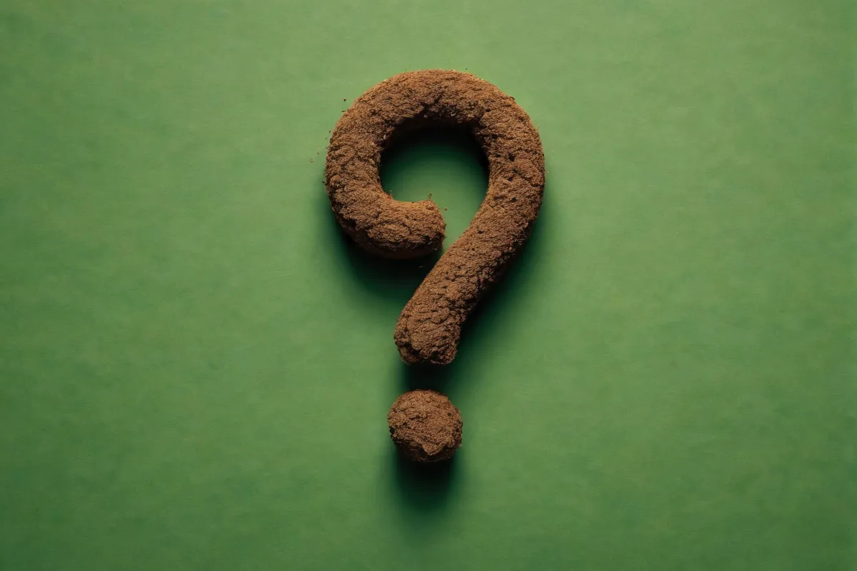 Dibujo en papel pintado: interrogante sobre una ilustración de caca verde