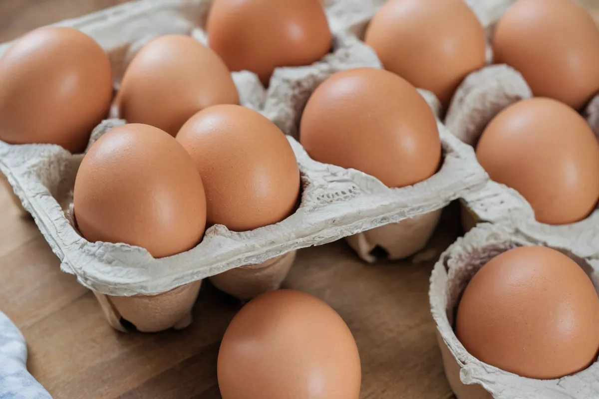 ¿Qué hacer con la comida pasada su fecha de caducidad? (What to do with expired food?)