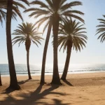 Vacaciones en Huelva o Cadiz: ¿Cuál es la mejor opción?
