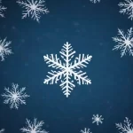 Bofrost: Congelados a domicilio, ¿calidad o precio?