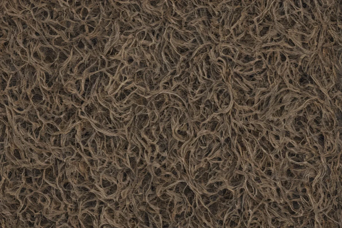 Imagen satírica de vello púbico en un fondo con patrones audaces