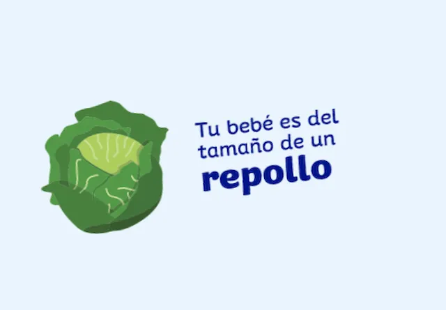 semana 30 de embarazo